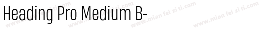 Heading Pro Medium B字体转换
